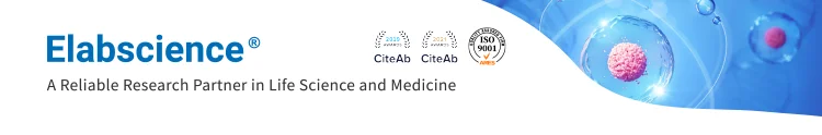 Elabscience